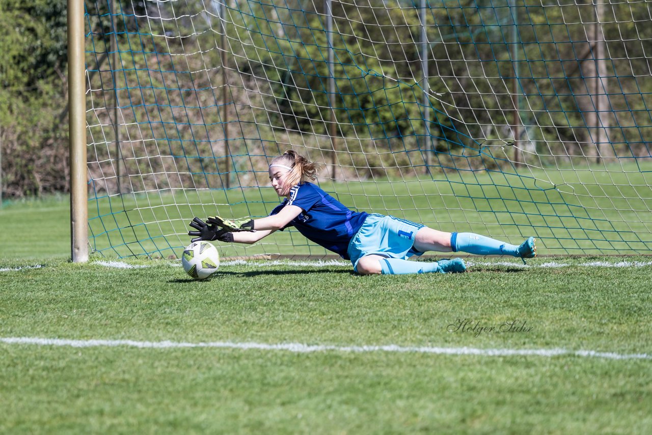 Bild 133 - wBJ Hamburger SV - WfL Wolfsburg : Ergebnis: 2:1